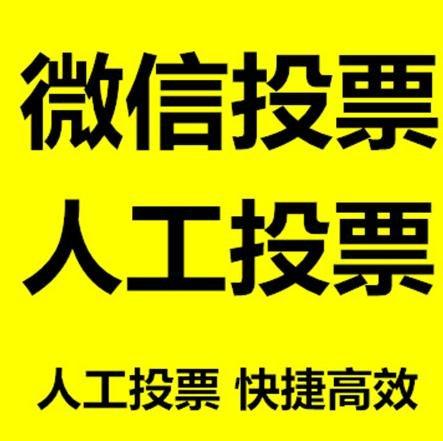 宿迁市投票活动拉票能被查出来吗？如何操作能不被发现？